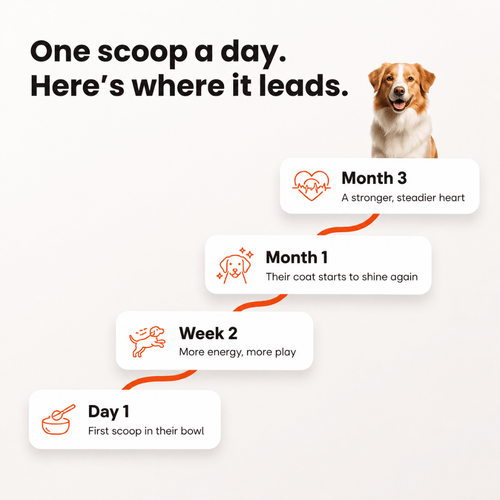 Temarra BioBoost™ Dog Taurine