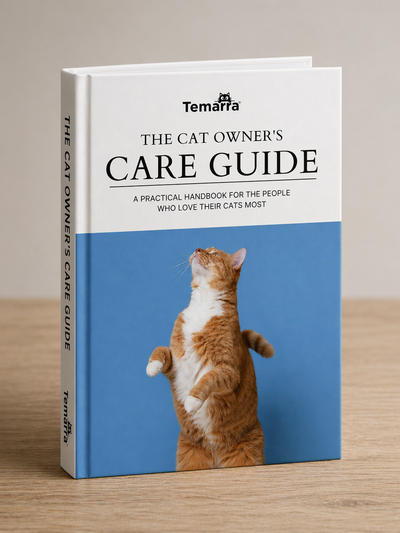 Cat Owners Care Guide