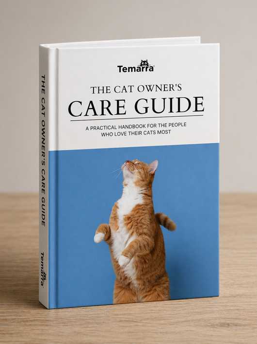 Cat Owners Care Guide