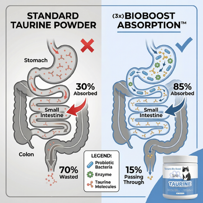 Temarra BioBoost™ Cat Taurine Supplement