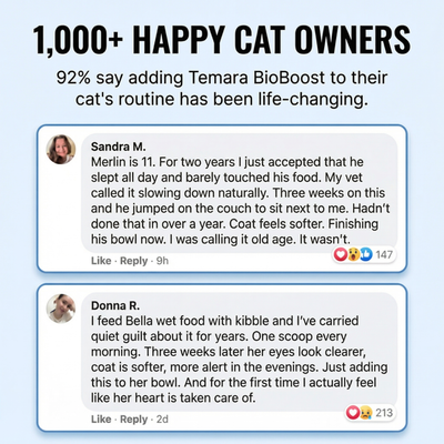 Temarra BioBoost™ Cat Taurine Supplement