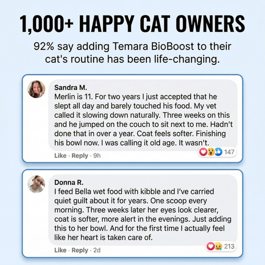 Temarra BioBoost™ Cat Taurine Supplement